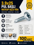 3.9x25 RYSB Pul Başlı Matkap Uçlu Akıllı Vida - 100 ADET