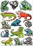 İguana Sticker Set