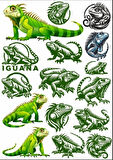 İguana Sticker Set