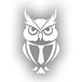 Kıravatlı Baykuş Sticker 17x17 Cm Beyaz