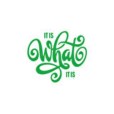 What is This Sticker 17x17 Cm Yeşil