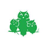 Sevimli Baykuşlar Sticker 17x17 Cm Yeşil