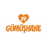 Kalpli 29 Gümüşhane Araba Sticker 17x17 Cm Turuncu