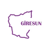 Giresun Harita Araba Sticker 17x17 Cm Mor