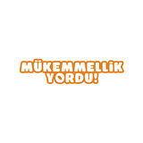 Mükemmellik Yordu Araba Sticker 17x17 Cm Turuncu