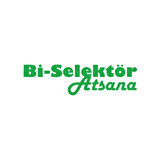 Bi Selektör Atsana Araba Sticker 17x17 Cm Yeşil