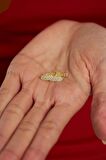 Zirkon Taşlı Gold J Klips Minimal Gümüş Küpe