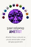 Şubat Ametist Doğum Taşı Rose Tektaş Çivili Gümüş Küpe