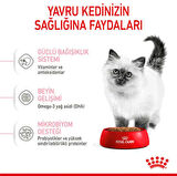 Royal Canin Kitten 4 kg 