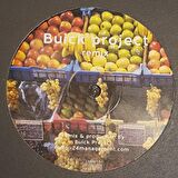 Buick Project - Sander Kleinenberg –The Fruit - Plak alithestereo