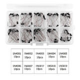 100 Parça Diyot Seti 10 Farklı Değerde DO-41 Kılıf