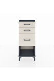 Arges Komodin 3 Çekmeceli 44x30x106 Antrasit-Aytaşı