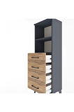 Arges Dolap 2 Raflı 4 Çekmeceli 44x30x134 Antrasit-Çam