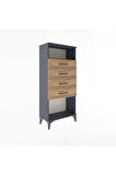 Arges Dolap Tek Raflı 4 Çekmeceli 60x30x134 Antrasit-Çam