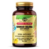 Ginkgo Biloba Leaf Extract 60 Tablet