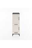 Hyperion Dolap 3 Raflı 2 Çekmeceli 2 Kapaklı 44x44x134 Antrasit-Aytaşı