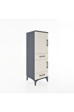 Hyperion Dolap 3 Raflı 2 Çekmeceli 2 Kapaklı 44x44x134 Antrasit-Aytaşı