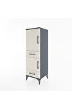 Hyperion Dolap 3 Raflı 2 Çekmeceli 2 Kapaklı 44x44x134 Antrasit-Aytaşı