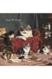 Çerçeveli Vintage Tablo, Kedi Tablosu, Yağlı Boya Tablosu, Çerçeveli Tablo, Sanatsal Dekor