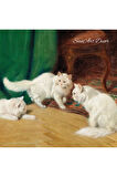 Çerçeveli Vintage Tablo, Kedi Tablosu, Yağlı Boya Tablosu, Çerçeveli Tablo, Sanatsal Dekor,