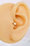 Yıldız Model Halka Piercing Tragus Helix Kıkırdak Küpesi