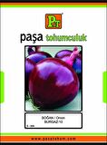Burgaz-010 Soğan Tohumu 100 GR.