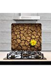 Dekoratif Cam Ocak Arkası Koruyucu ve Kesme Tahtası Toprak (50cm x 56cm) Tek Parça