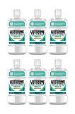 Naturals Emaye Koruma Hafif Lezzet Nane (Alkol veya Boya Yok, Vegan ) (6 Adet) 500ml