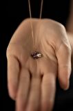 Swarovski Taşlı Yonca Model Rose Kaplama Gümüş Crystal Kolye
