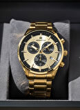 Momentus Gold Çelik Kordon Erkek Kol Saati SC380G-08SG