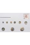 Hakiki Sedef İstridye Düğme 20 Boy-13mm(12 adet)
