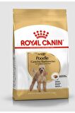 Poodle Yetişkin Köpek Maması 3 Kg. Fastpati