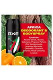 Axe Men Deodorant Africa 150 ML - 3'lü Avantaj Paketi