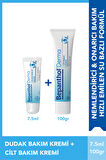Bepanthol Cilt Bakım Kremi 100gr + Güneş Koruyucu Dudak Kremi SPF 30 & Matara Hediye