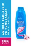 Blendax Aninda Parlaklik Ve Yumuşaklik Kiraz Çiçeği Özlü Şampuan 500 Ml x 3 Adet