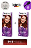 Palette Göz Alıcı Renkler 6-88 Yoğun Kızıl X 2 Adet + Gliss Tarak 