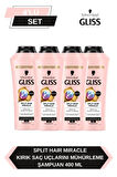 Gliss Split Hair Miracle Şampuan 400 Ml x 4 Adet