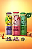 Ice Tea Berry Hibiscus Soğuk Çay Şeker İlavesiz 250 ml x 12