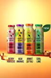 Ice Tea Soğuk Çay Şeker İlavesiz Karışık Deneme Paketi 250 ml x 12