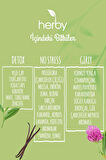 Herby Bitki Çayı 3'lü Özel Gün Rahatlama Paketi (Sleep Tea, No Stress Tea, Girly Tea)