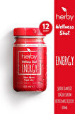 Energy Ginseng Shot 12'li Paket Enerji Desteği Bitki Bazlı İçecek 60 ml