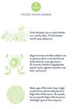 Defense Tea Kara Mürver Bağışıklığa Destek Bitki Çayı 2'li Paket