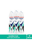 Rexona Kadın Invisible Fresh Sprey Deodorant 150 ml X3