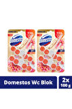 Tuvalet Bloğu Aroma Lux Yıldız Çiçeği & Ejder Meyvesi 100 G X2