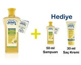 Schultz Onarıcı ve Yenileyici Şampuan 250ml Alana Şampuan 60ml + Saç Kremi 30ml HEDİYE