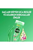 Elidor Superblend Saç Bakım Şampuanı Sağlıklı Uzayan Saçlar Biotin Argan Yağı Arjinin 400 ml X3