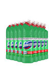 Domestos Çamaşır Suyu Dağ Esintisi 750 ml X9 Mikrofiber Bez Hediye