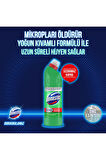 Domestos Beyaz Sabun Ferahlığı Çamaşır Suyu 3 x 750 ML + Domestos Mutfak Bio Active Çamaşır Suyu 3 x 750 ML