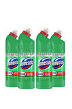 Domestos Çamaşır Suyu Yoğun Kıvamlı Maksimum Hijyen Dağ Esintisi 750 ml X4 Adet
