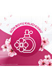 Cif Zemin Temizleyici Sakura 1500 ml x3